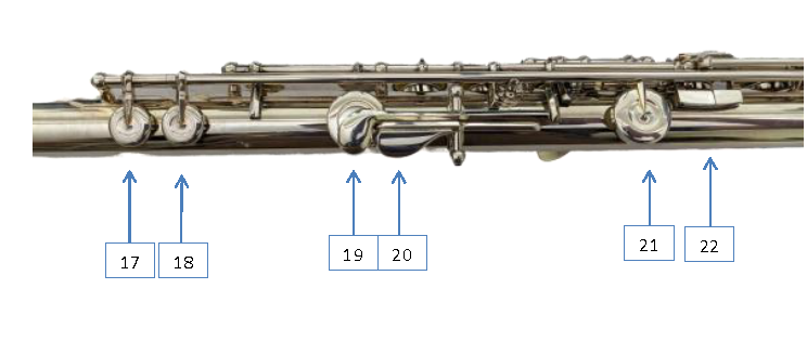 Flute Structure Anatomy of a Flute – CIOMIT